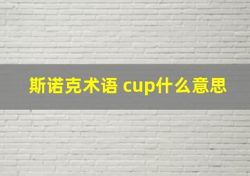 斯诺克术语 cup什么意思